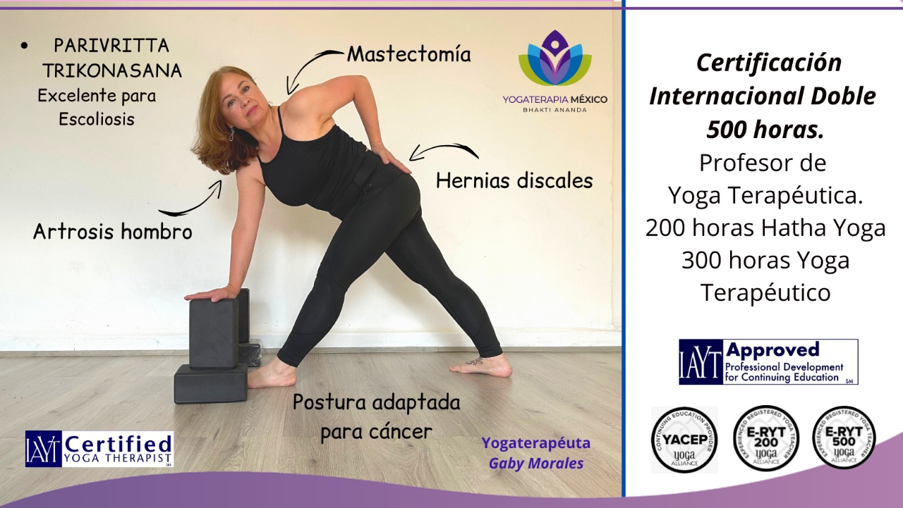 Certificación Yoga Terapéutica YTM