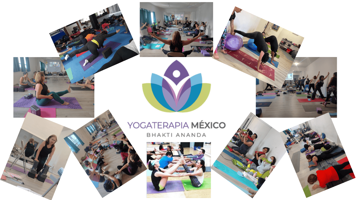 header site certificacion