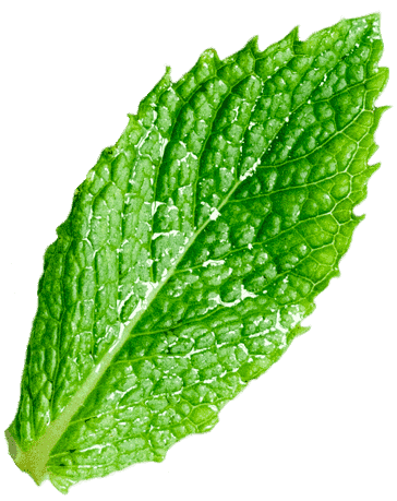 herbal remedy 35